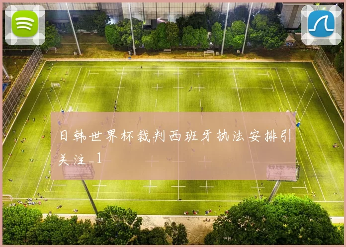 日韩世界杯裁判西班牙执法安排引关注_1