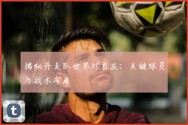揭秘丹麦队世界杯首发：关键球员与战术布局
