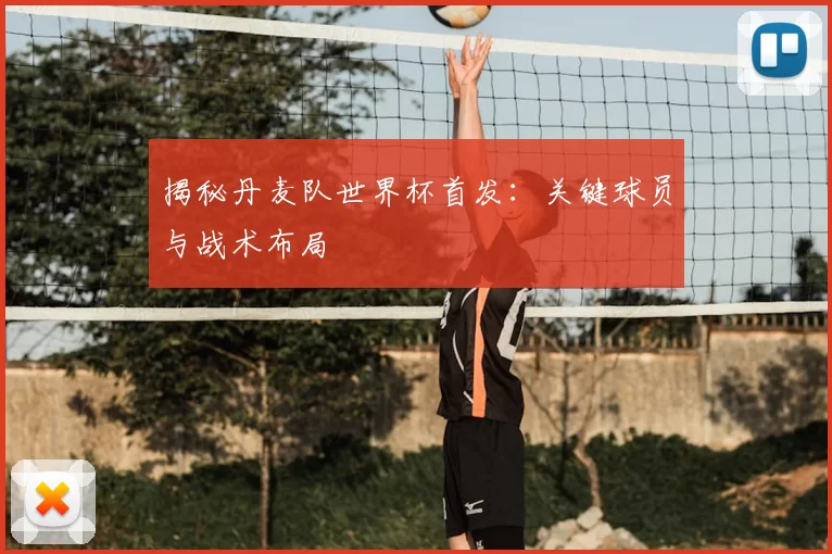 揭秘丹麦队世界杯首发：关键球员与战术布局