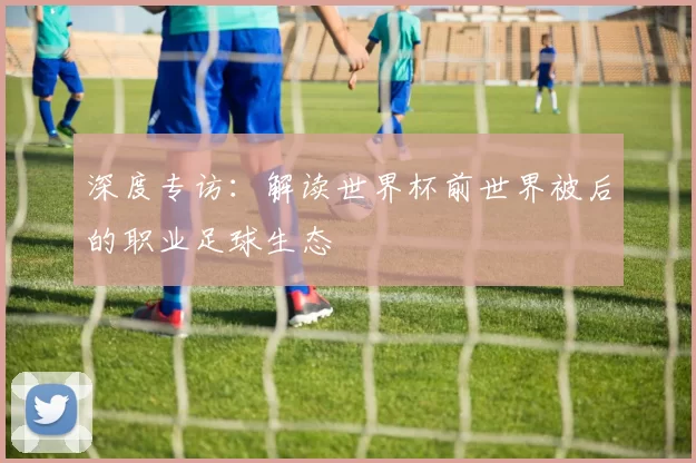 深度专访:解读世界杯前世界被后的职业足球生态