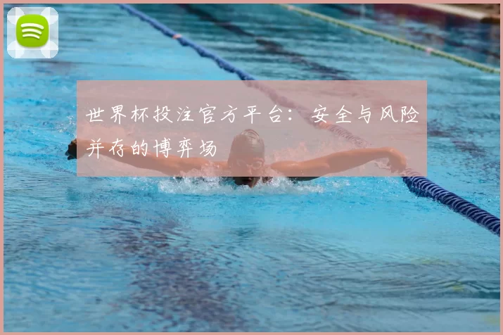 世界杯投注官方平台：安全与风险并存的博弈场