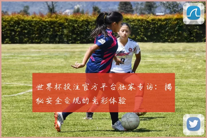 世界杯投注官方平台独家专访:揭秘安全合规的竞彩体验