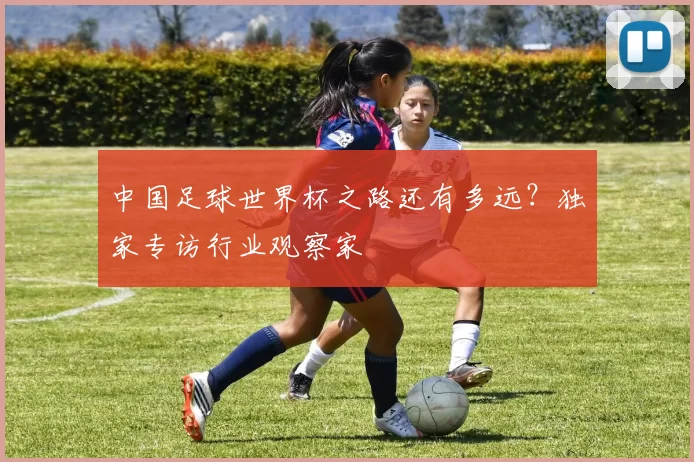 中国足球世界杯之路还有多远？独家专访行业观察家