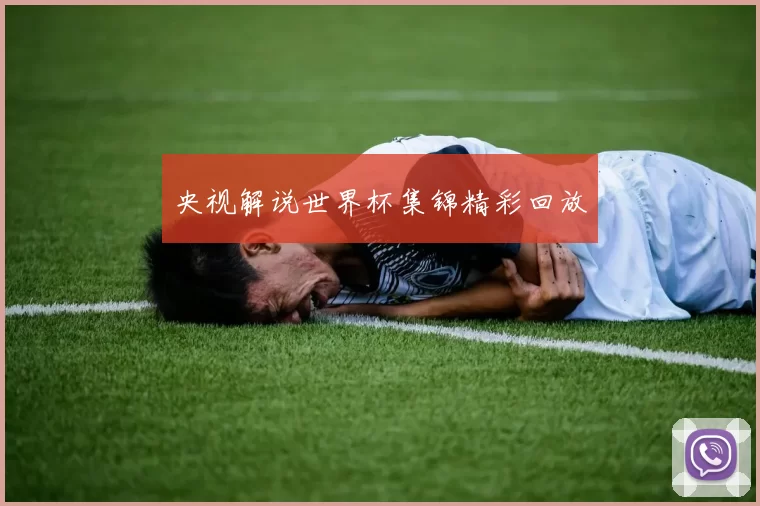 央视解说世界杯集锦精彩回放