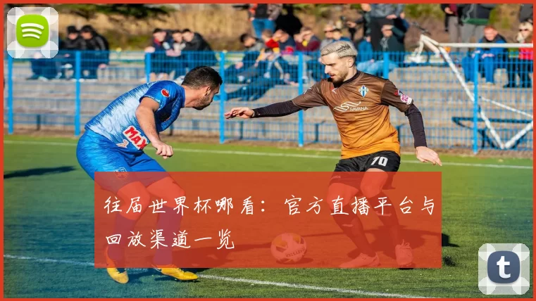 往届世界杯哪看:官方直播平台与回放渠道一览