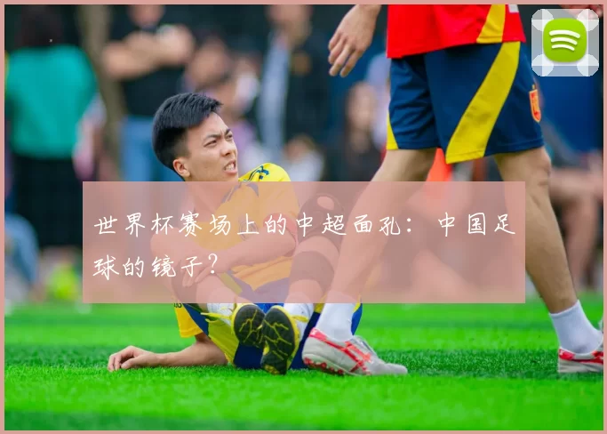 世界杯赛场上的中超面孔：中国足球的镜子？