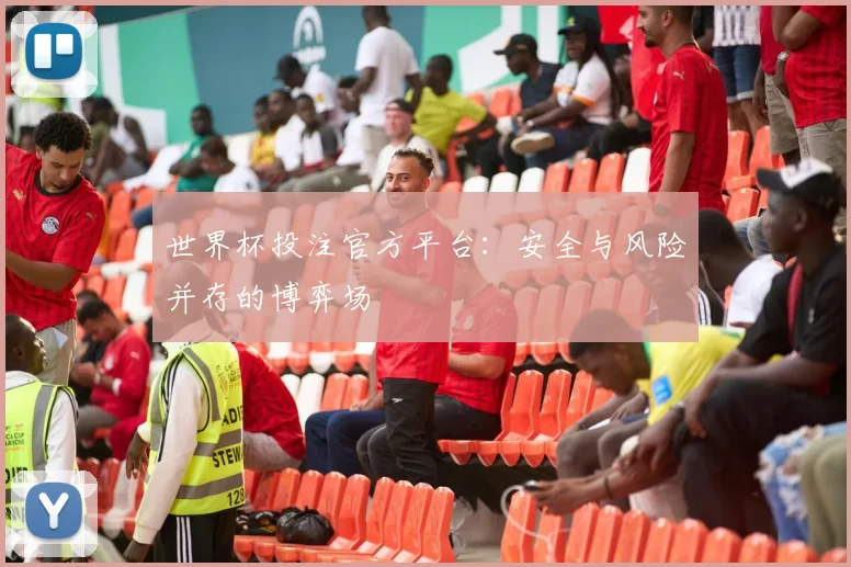世界杯投注官方平台：安全与风险并存的博弈场