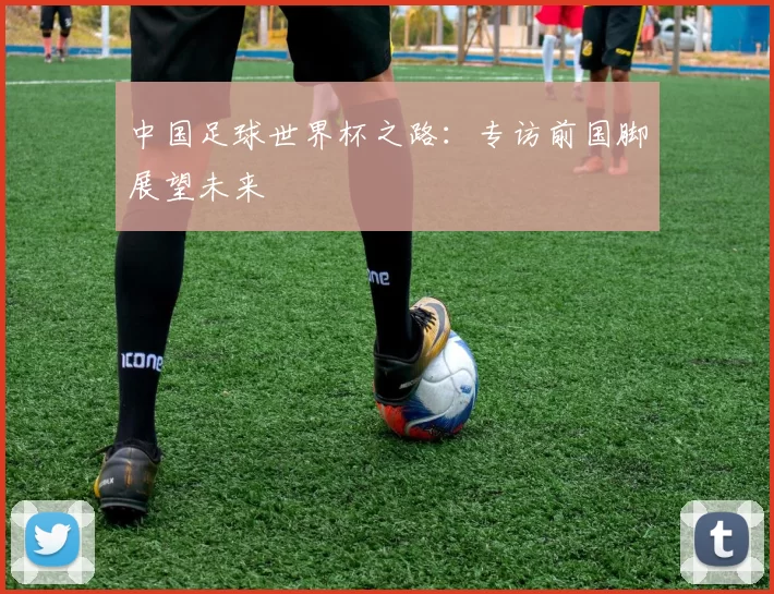 中国足球世界杯之路：专访前国脚展望未来