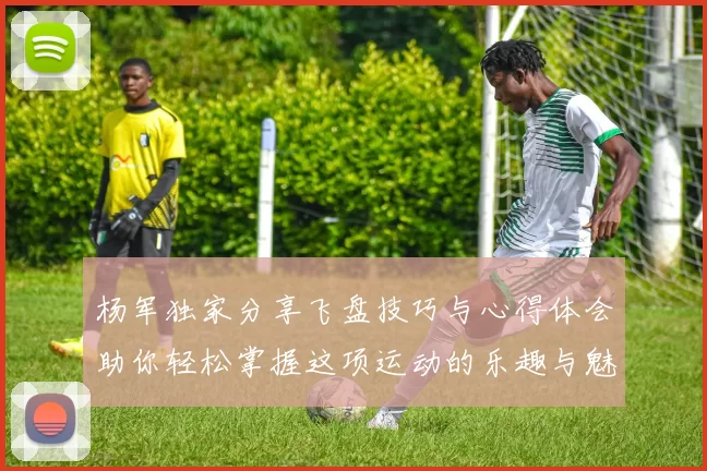 杨军独家分享飞盘技巧与心得体会助你轻松掌握这项运动的乐趣与魅力